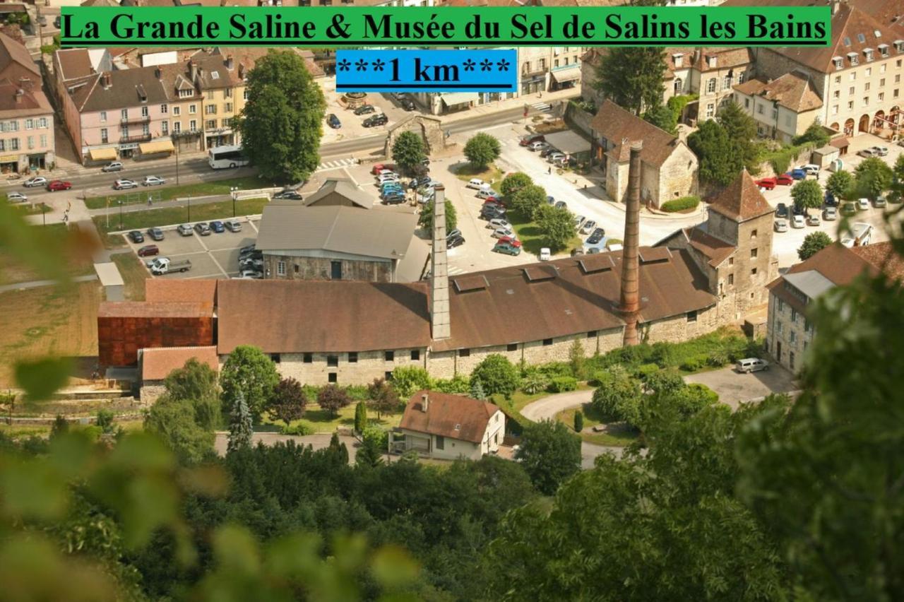Appartement Cosy Pink Salins Les Bains المظهر الخارجي الصورة